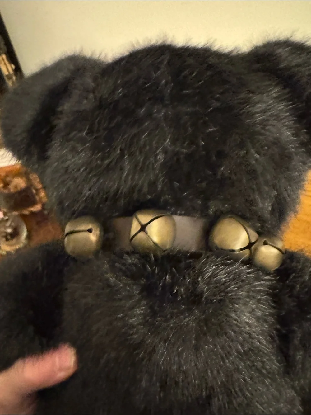 Vintage Boyds Bears Burlington P Beanster Black Plush Bear 16